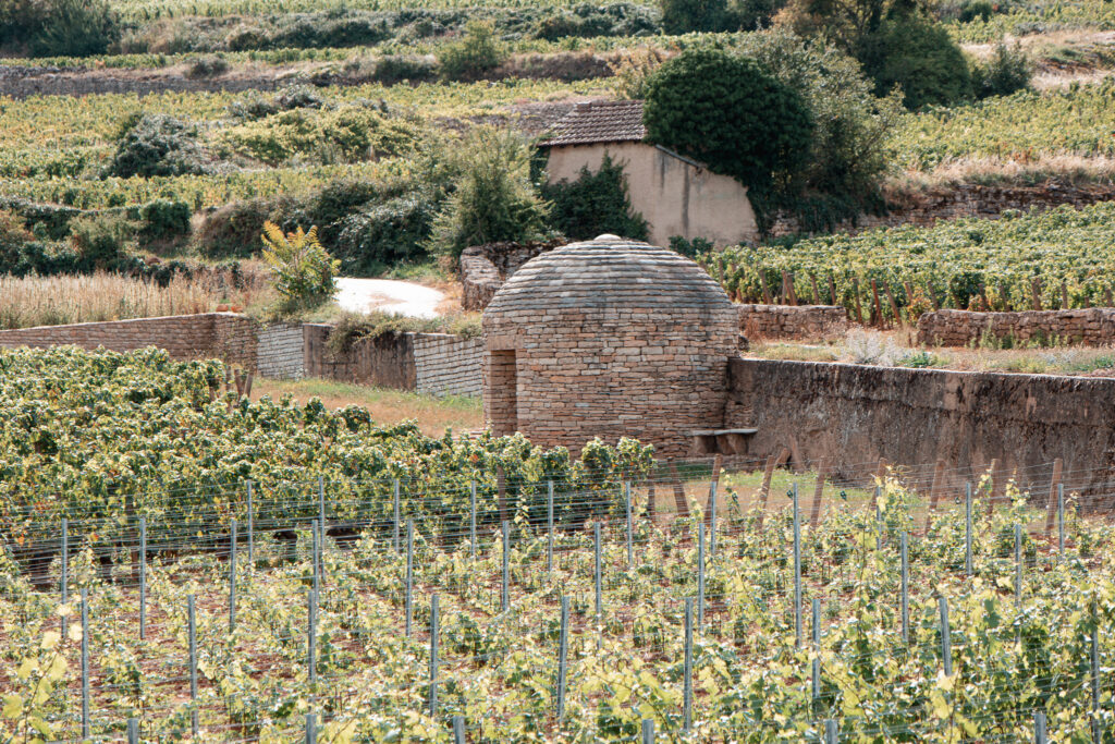 Cabotte bourguignonne à Beaune au milieu des vignes