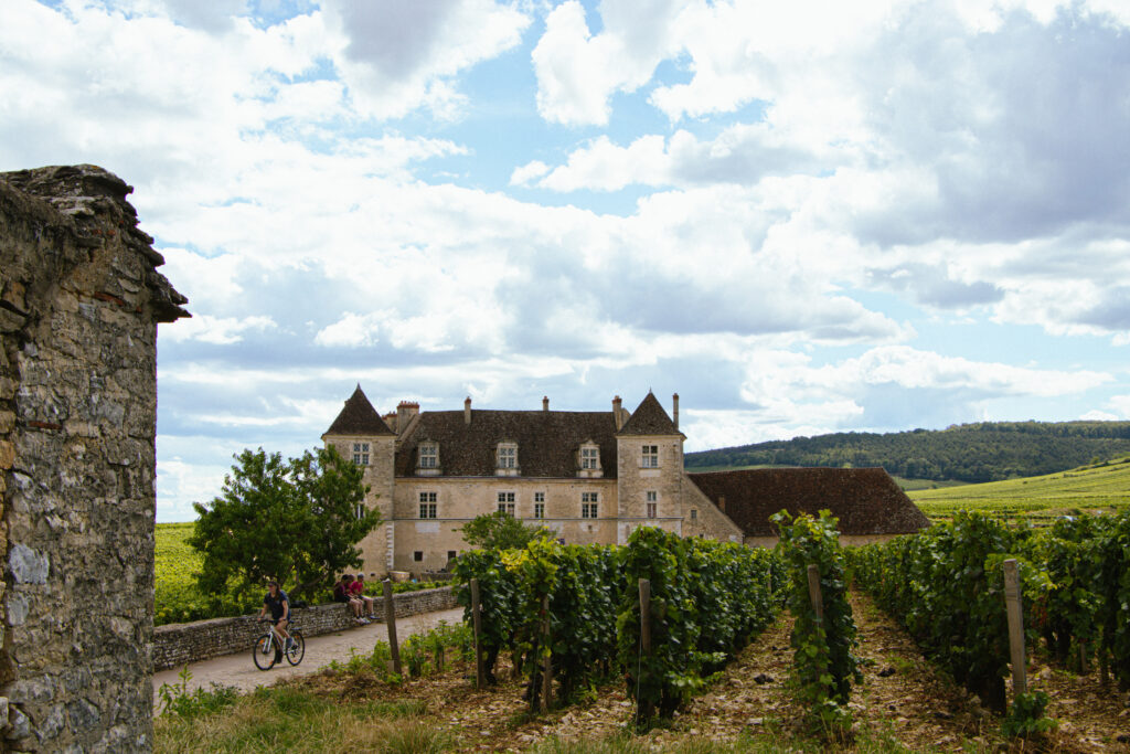 Vignes du Château du Clos de Vougeot avec le château en arrière plan et ciel bleu nuageux